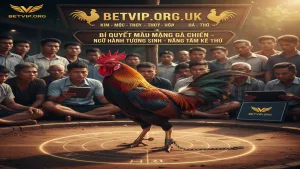 Bí quyết chọn gà chiến theo màu mạng - Chinh phục mọi sới gà